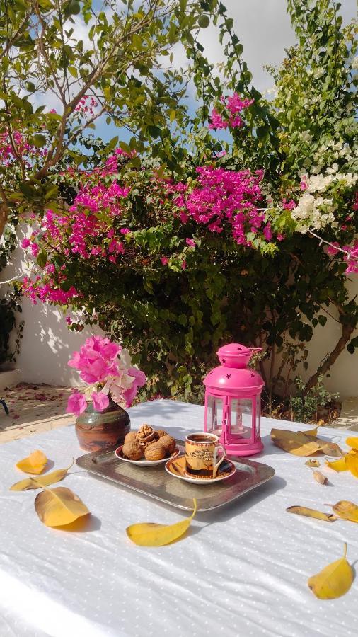 Henchir Ejdoud Guest House Kairouan Luaran gambar