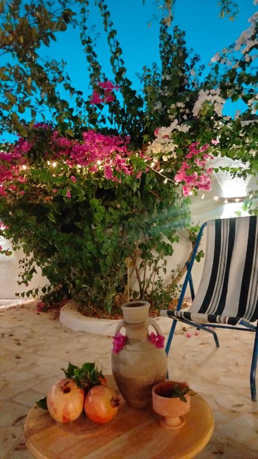 Henchir Ejdoud Guest House Kairouan Luaran gambar