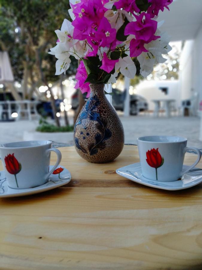 Henchir Ejdoud Guest House Kairouan Luaran gambar